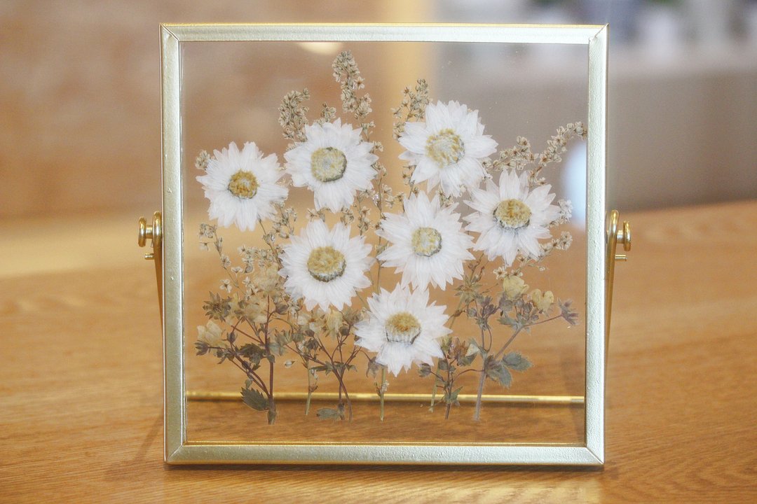 白色小雏菊押花悬浮画 - 摆饰 - 植物．花 