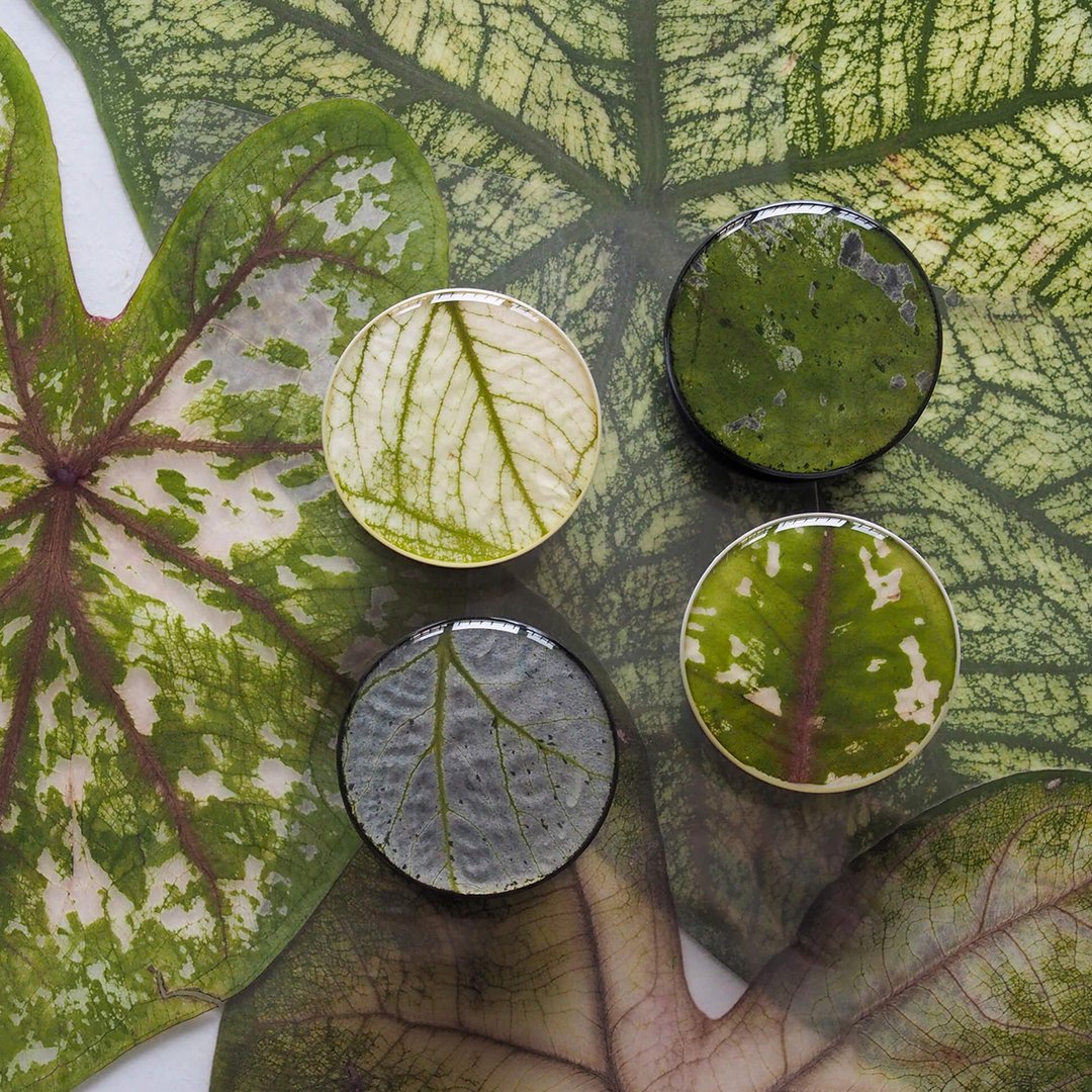 海芋 磁吸 粘贴 手机支架 手工 可爱 手机支架 树脂 自然礼物 - 手机座/防尘塞 - 植物．花 绿色