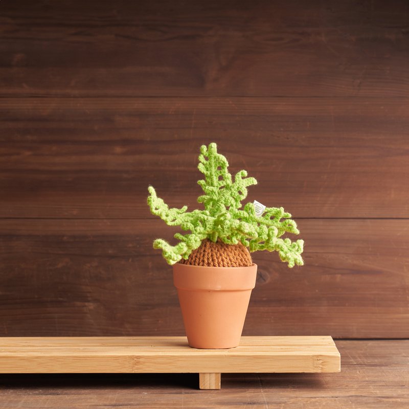 植栽系列 /玉羊齿/有基础者可/台北迪化街 - 编织/羊毛毡/布艺 - 羊毛 