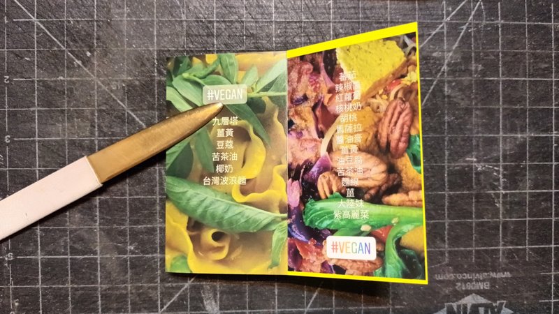 面 Vegan 作业簿 III 的养爹狗 巴别塔 Liuyingchieh 艺术书 折页 - 刊物/书籍 - 塑料 多色