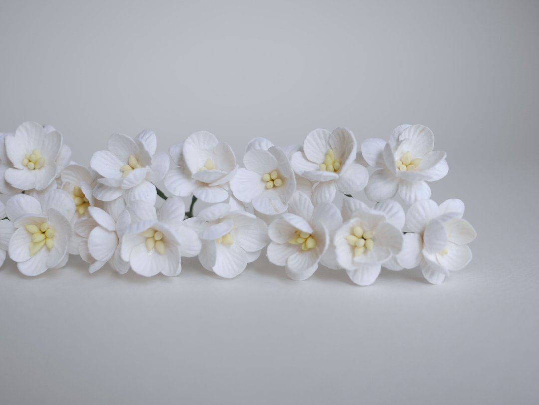 纸花，50 片，尺寸 2.5 厘米。樱花，樱花纸，白色。 - 木工/竹艺/纸艺 - 纸 白色