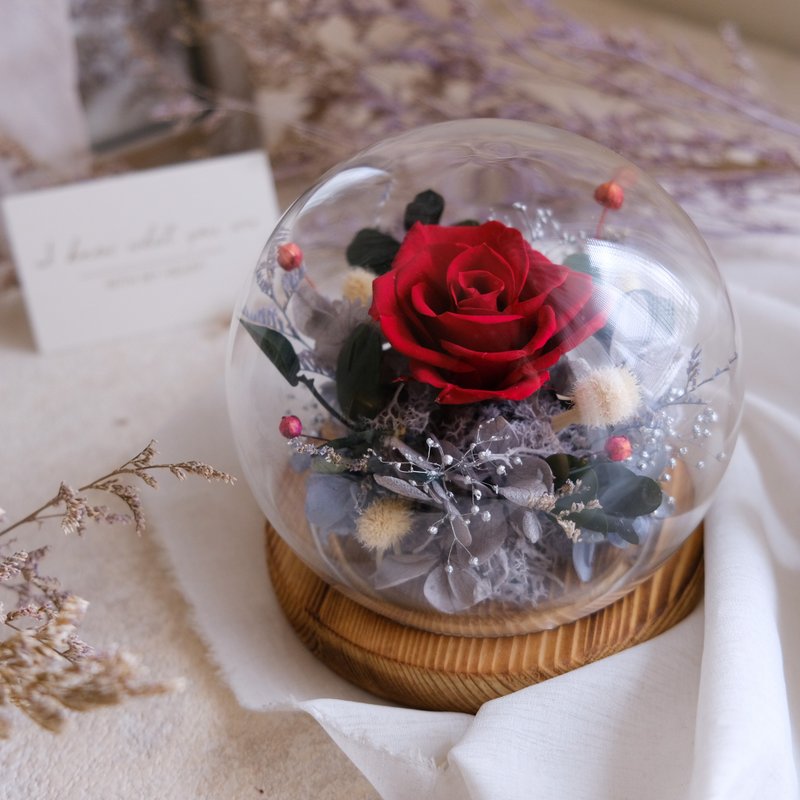 *浓爱*七夕情人节/浓情深红色/玻璃钟罩(无灯)/告白/结婚周年纪念 - 植栽/盆栽 - 植物．花 红色