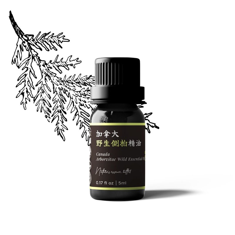 【卡佛香】加拿大野生侧柏精油 - 香薰/精油/线香 - 玻璃 黑色