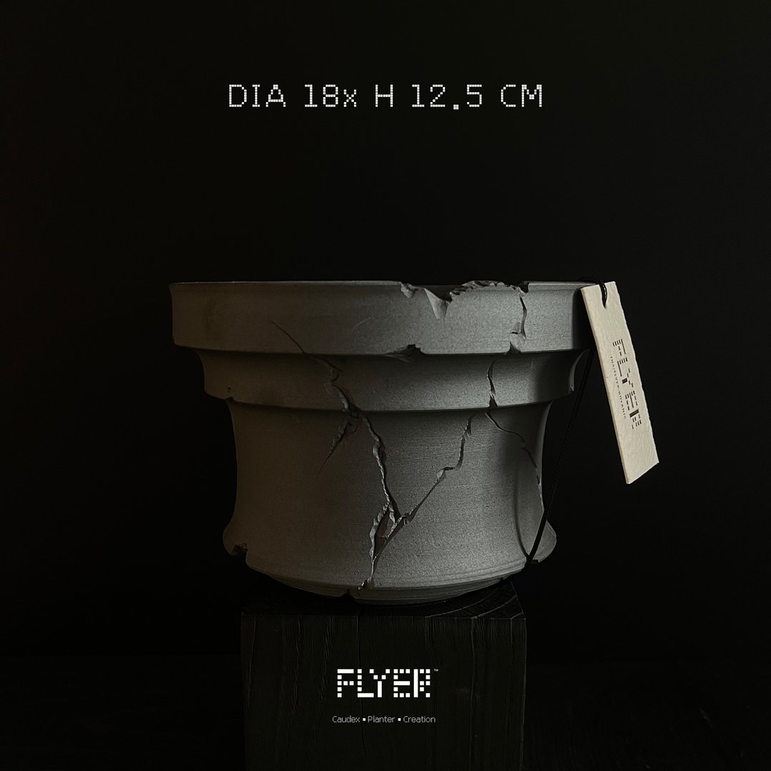 FLYER 块根多肉植物陶盆器 龙舌兰象牙宫象足漆树盆器 - 花瓶/陶器 - 陶 