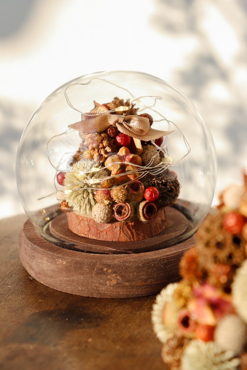 - 果实森林圣诞树玻璃球 - 夜灯 摆饰 交换礼物 圣诞礼物 圣诞树 - 干燥花/捧花 - 植物．花 咖啡色