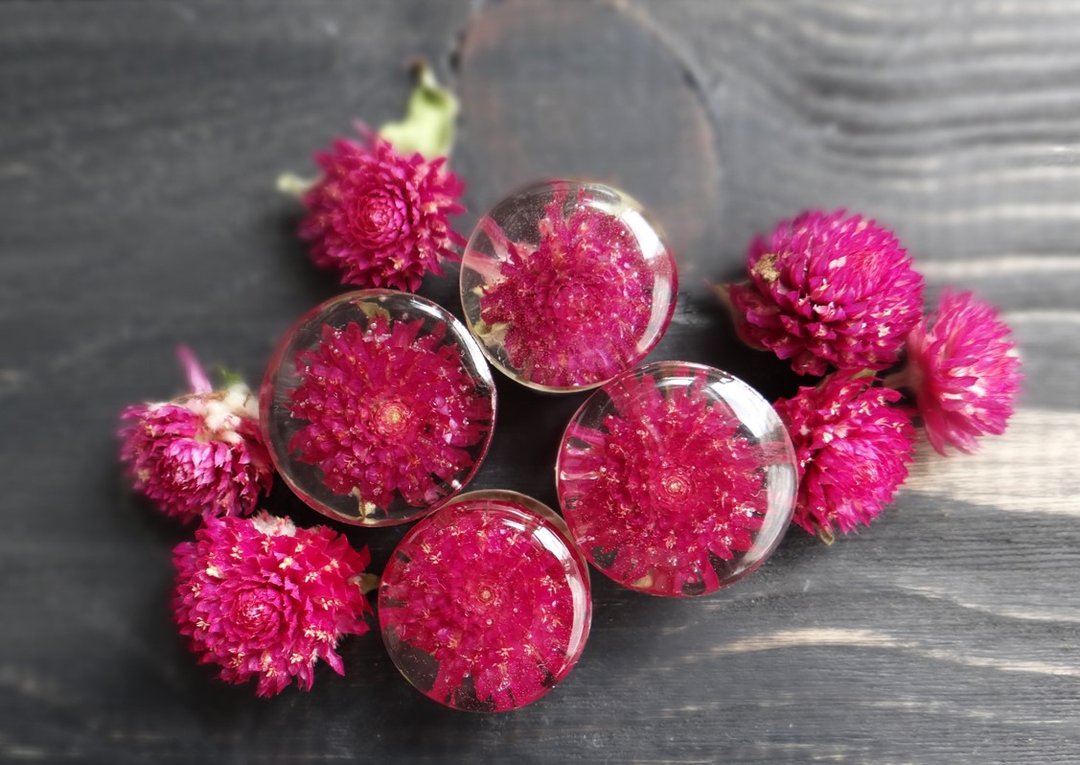 Purple gomphrena flower  plug earrings  ear gauges  terrarium jewelry Resin - 耳环/耳夹 - 植物．花 紫色