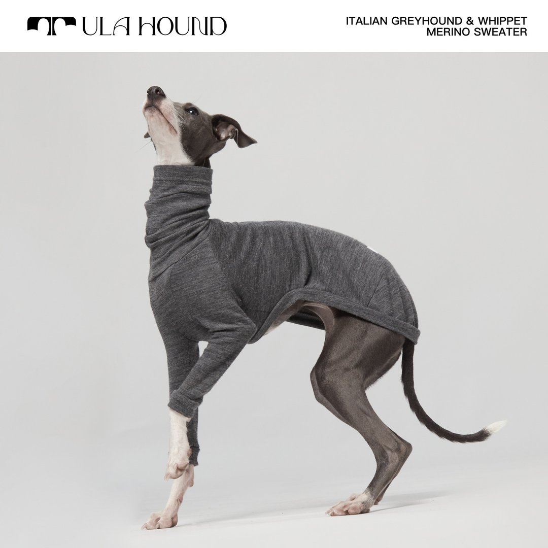Ula Hound 美利奴高领羊毛衫 - 衣/帽 - 羊毛 多色
