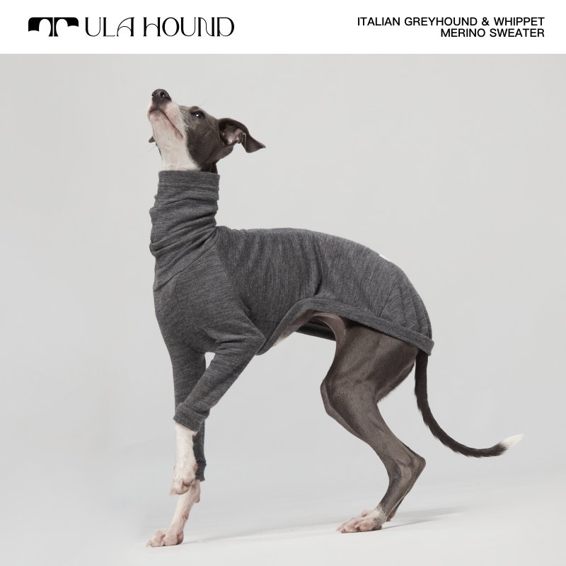 Ula Hound 美利奴高领羊毛衫 - 衣/帽 - 羊毛 多色