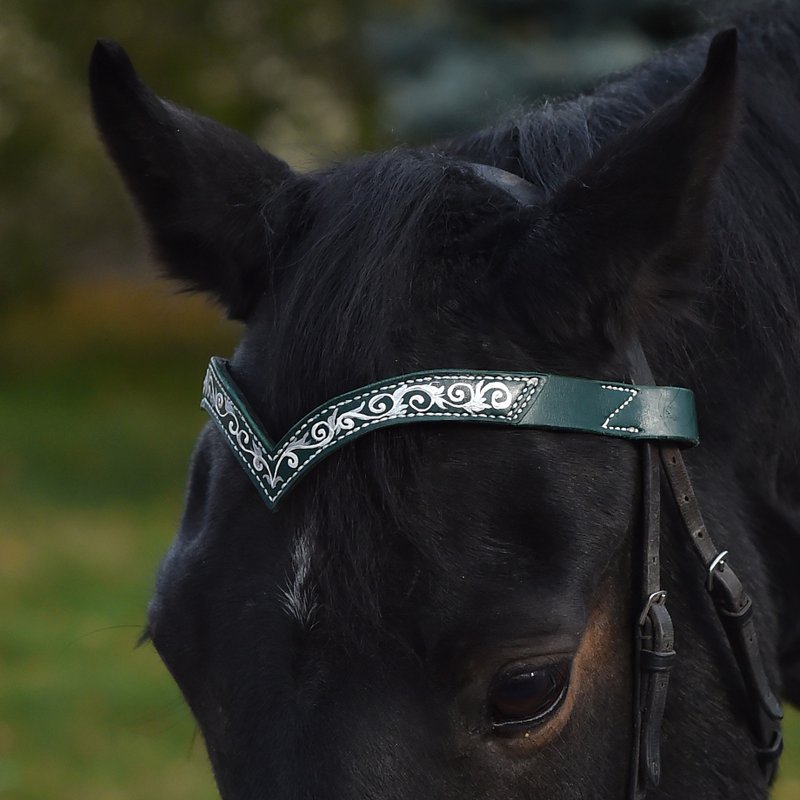 Green leather browband for horses draft pony. Handmade Brow band with hand-paint - 其他 - 真皮 绿色