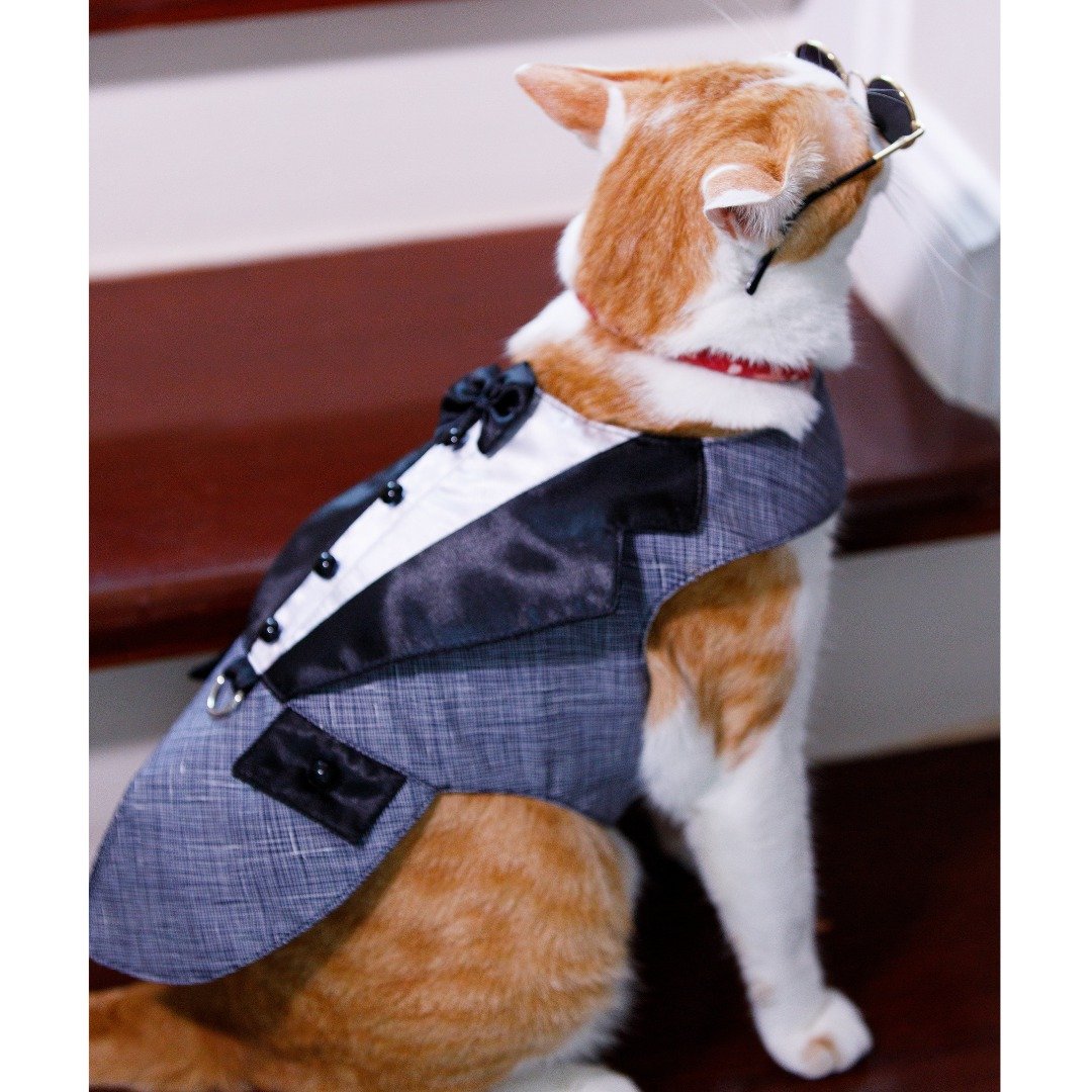 Black tuxedo for dog and cat handmade sewing with high quality fabric Size M - 衣/帽 - 聚酯纤维 黑色