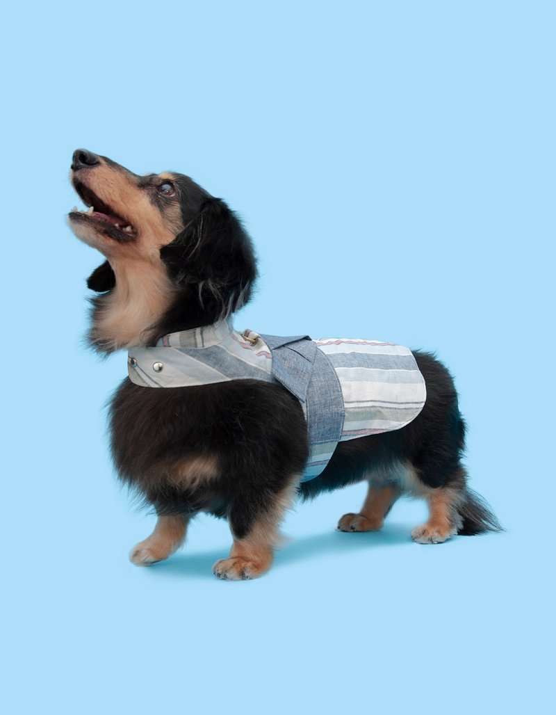 薄缥 Among 胸背衣 - 衣/帽 - 棉．麻 蓝色