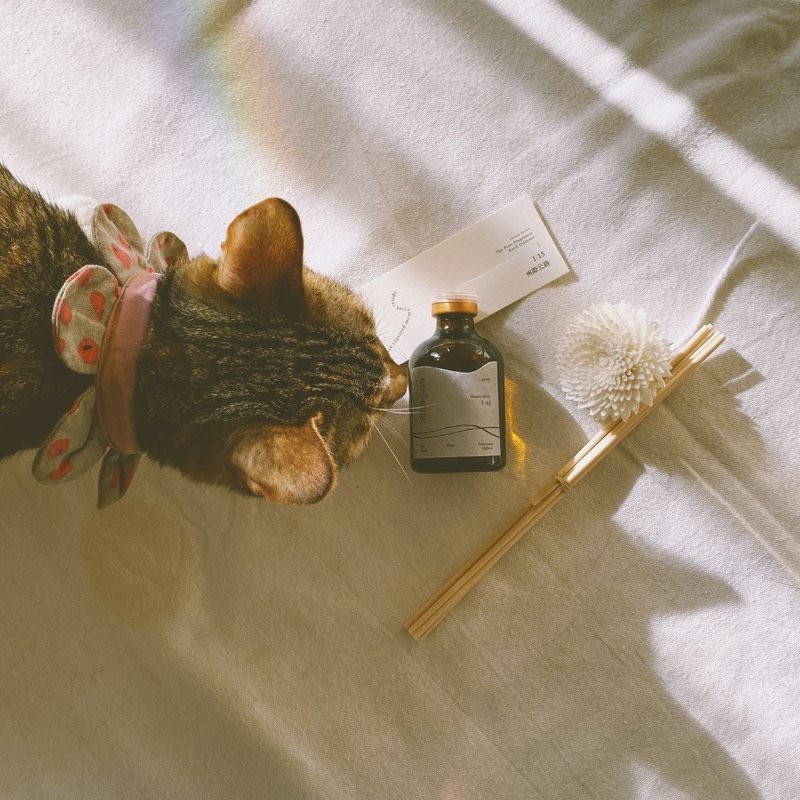 手工香氛扩香瓶【白麝香】 - 香薰/精油/线香 - 精油 