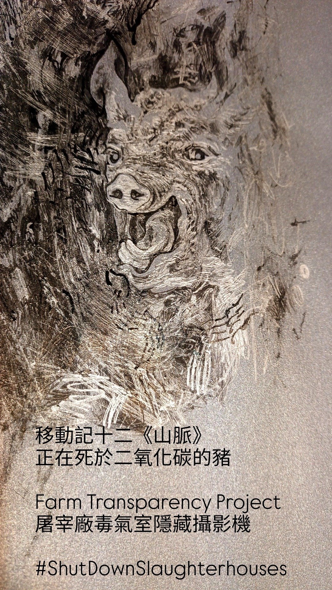 正在死于二氧化碳的猪 VEGAN 素描复制画 炫光卡 水晶网点 屠宰厂 - 卡片/明信片 - 纸 银色