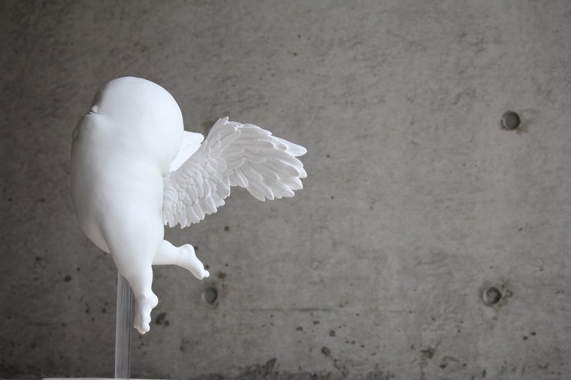 KONETA BIG flying model - 摆饰 - 塑料 白色