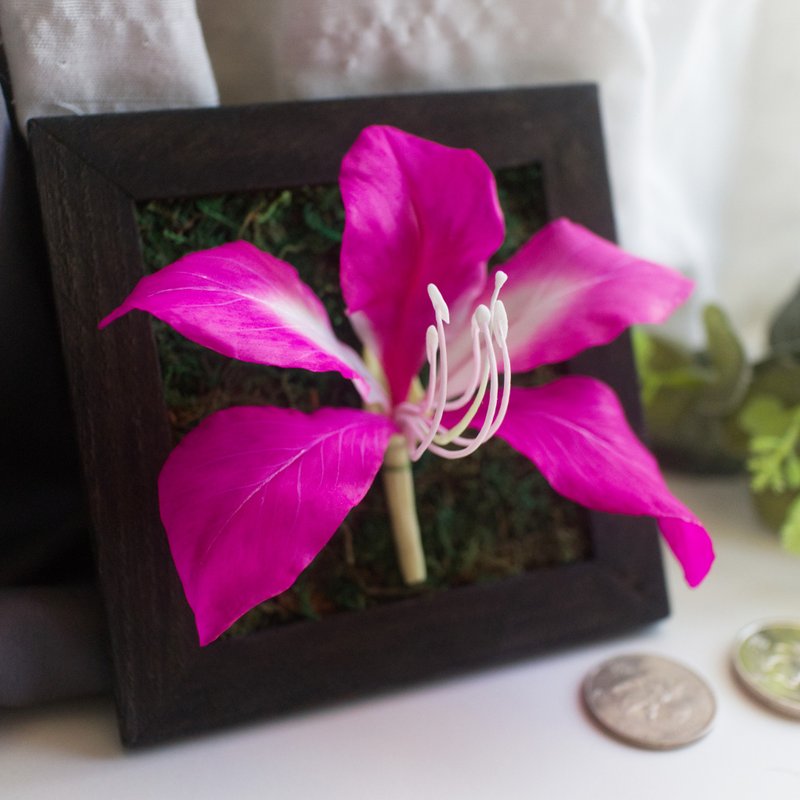 洋紫荆花 连画框 - 订制 香港 礼物 记念 黏土永生花 - 干燥花/捧花 - 粘土 紫色