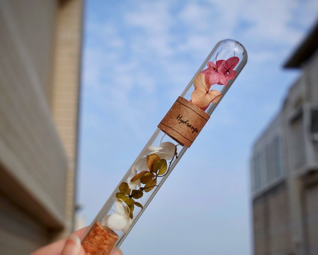 许我一个名 - 干燥花/捧花 - 植物．花 多色