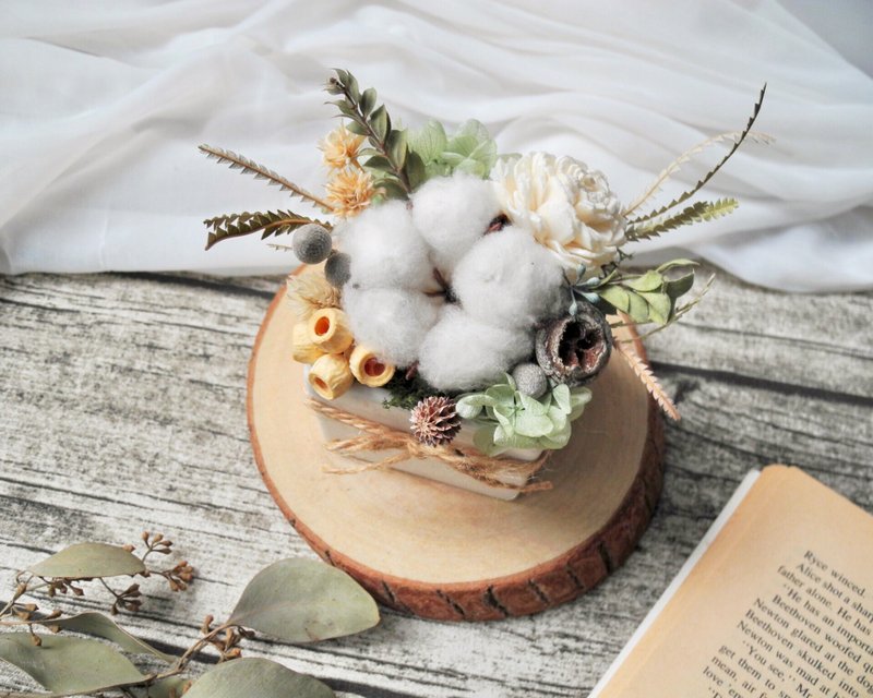 清新可爱 干燥盆花 - 植栽/盆栽 - 植物．花 白色