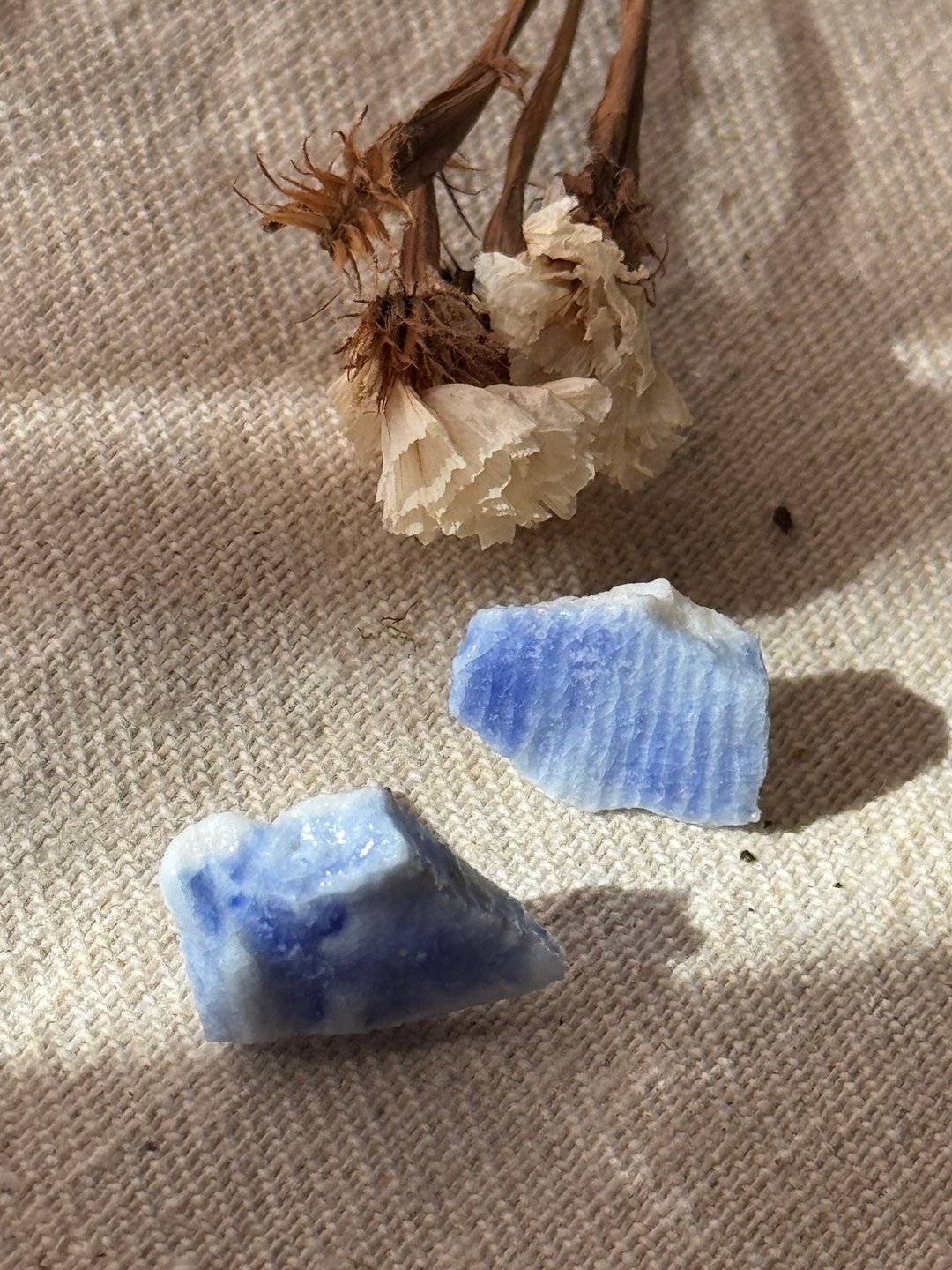 钴蓝瓷耳环 - 耳环/耳夹 - 陶 多色
