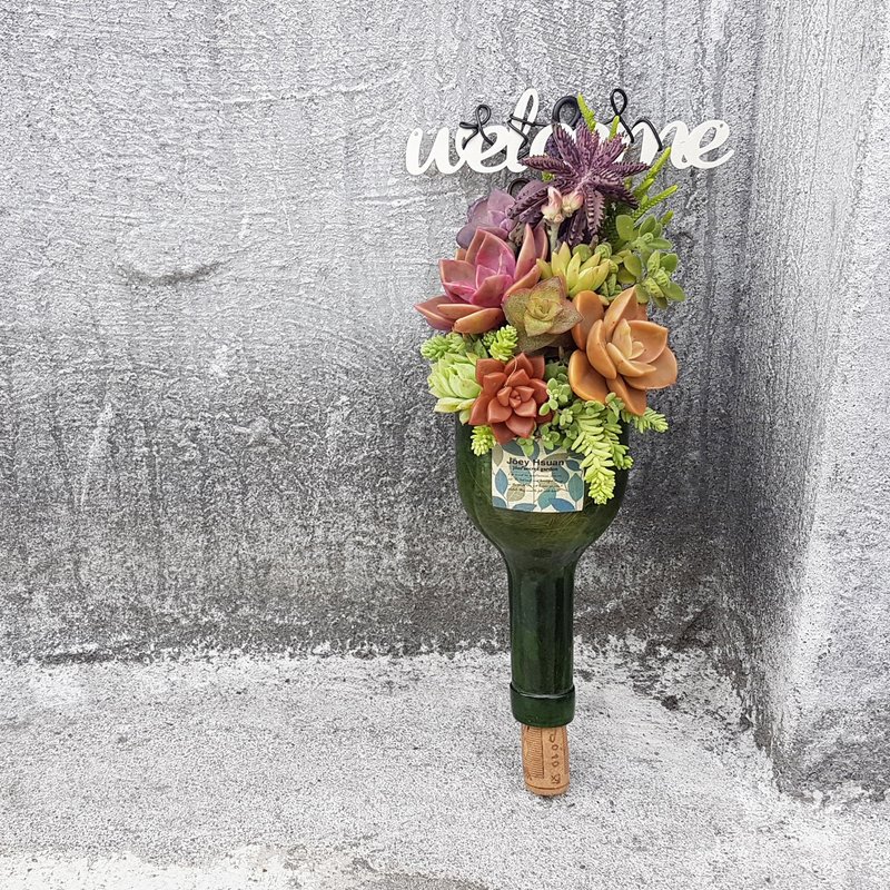 Cheers! 吊挂式多肉组盆(Cheers! Hanging container design) - 植栽/盆栽 - 玻璃 多色