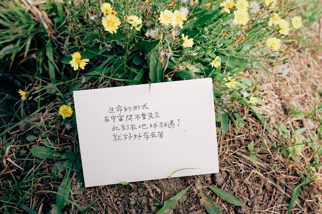 神农语录。 在地球相遇 - 卡片/明信片 - 纸 