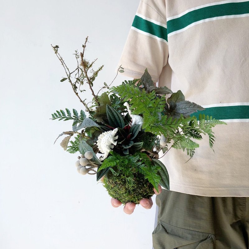 4-6 月・享生活・原始森林恐龙苔球・亲子活动 - 植栽 - 植物．花 