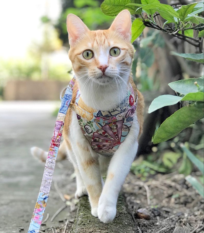 宠物胸背带【猫狗通用】自选花色 含牵绳 - 衣/帽 - 棉．麻 