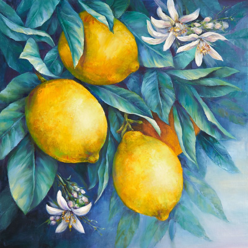 Oil Painting Lemons Original Art on Canvas 70x70 cm. - 海报/装饰画/版画 - 棉．麻 