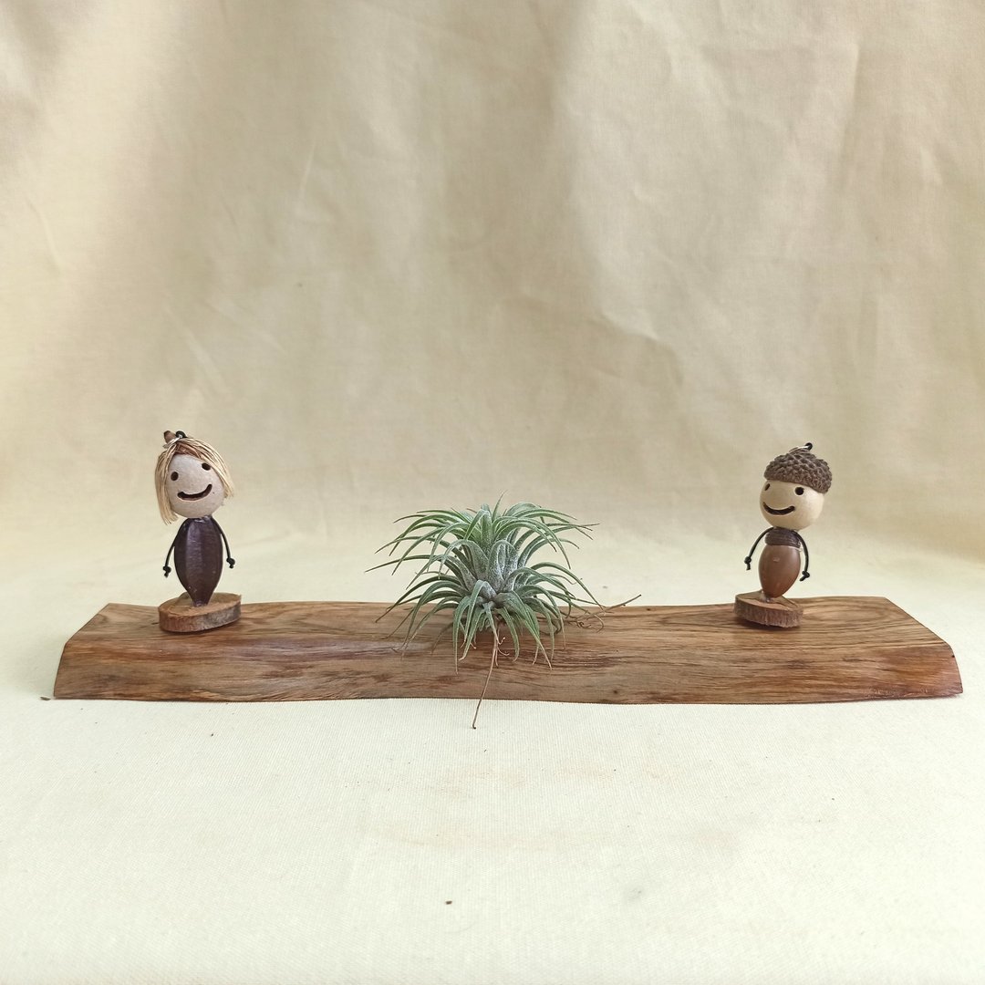【原木座台】-亚杉(尺寸29x8x1.3CM) - 摆饰 - 木头 卡其色