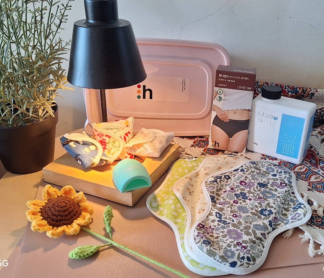 【圣诞节活动2024 Christmas !hannah 限时天】中型3+小型3+内裤1 - 其他 - 棉 