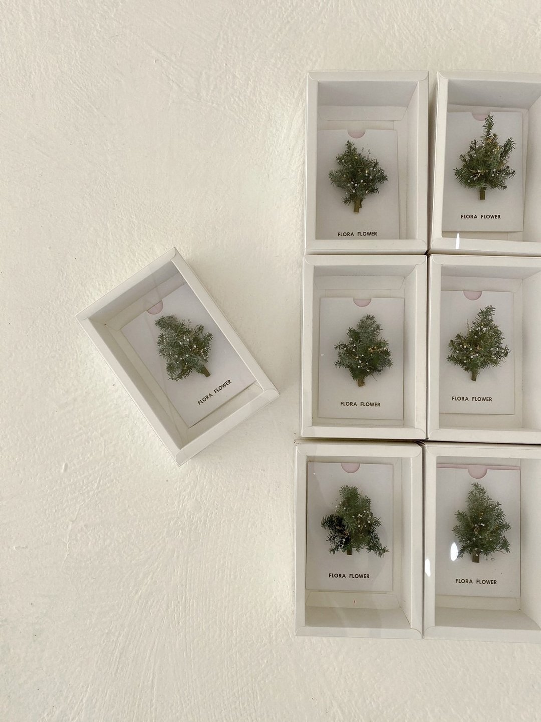 Flora Flower干燥花卡片-圣诞树 - 干燥花/捧花 - 植物．花 绿色