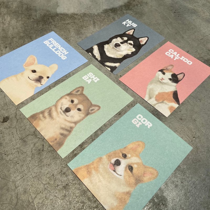 | 宠物系列 | 明信片/共6款 - 卡片/明信片 - 纸 多色