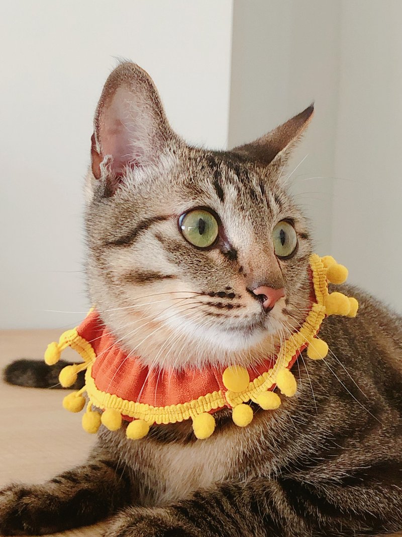 喵的小太阳 猫咪弹性项圈 可客制 ggoomstudio - 项圈/牵绳 - 棉．麻 橘色
