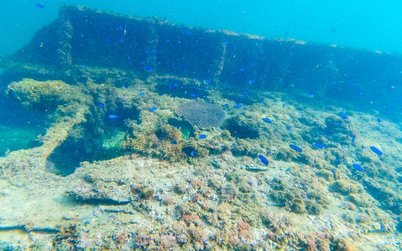 基隆望海巷SUP 浮潜赏鱼访沉船 (假日) - 户外/室内活动 - 其他材质 