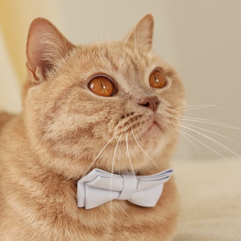 定制/可拆蝴蝶结/安全插扣 | 猫项圈-蒲公英 Pawsholic爪迷 - 项圈/牵绳 - 棉．麻 