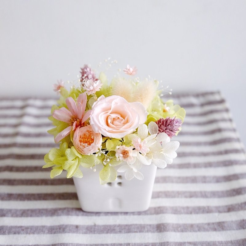 还是向往天堂 - 不凋干燥小桌花 粉色 - 植栽/盆栽 - 植物．花 粉红色