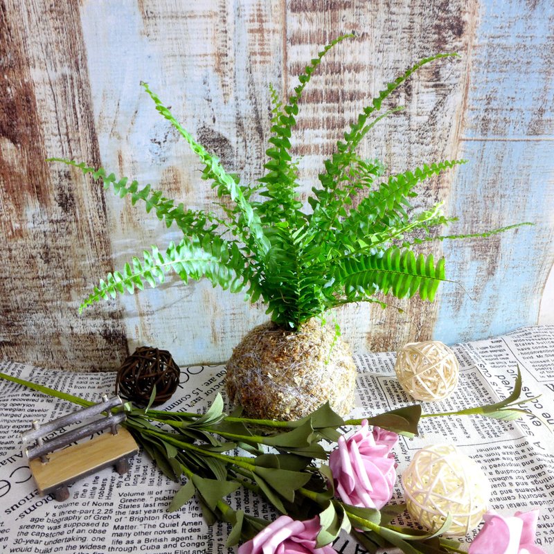 芊艹手作/ 蕨类系列苔球 - 波士顿肾蕨 - 植栽/盆栽 - 植物．花 绿色