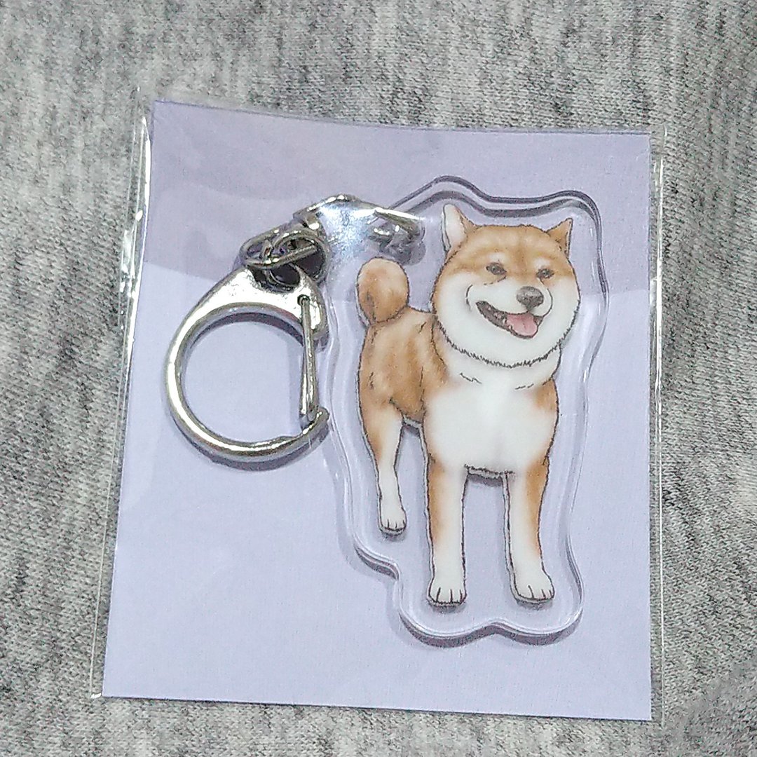 卷尾柴犬-压克力吊饰(钥匙圈)-双面图案-新厂商 - 钥匙链/钥匙包 - 压克力 
