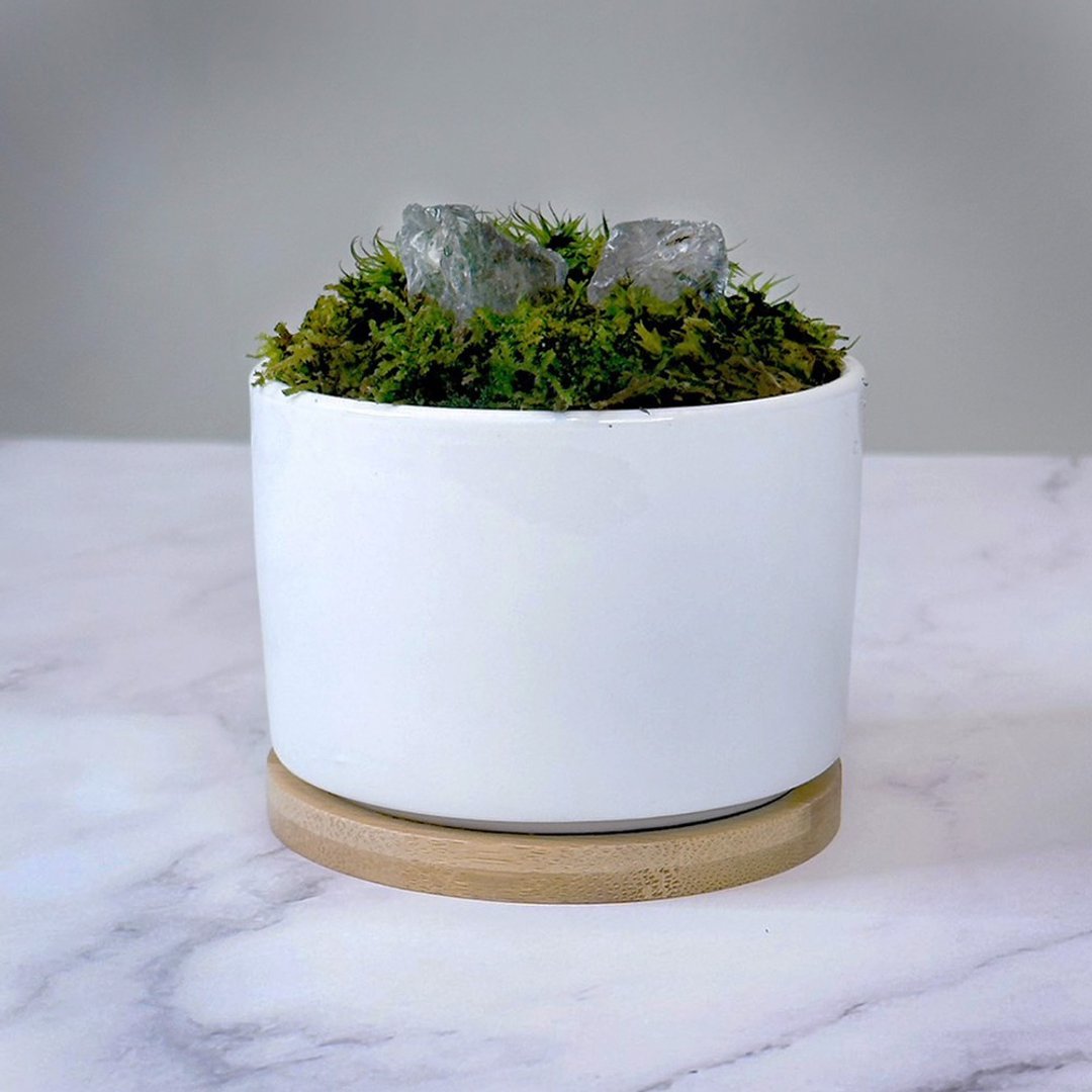 全定制化设计 – 灵石苔藓盆栽 / 白水晶 - 植栽/盆栽 - 植物．花 