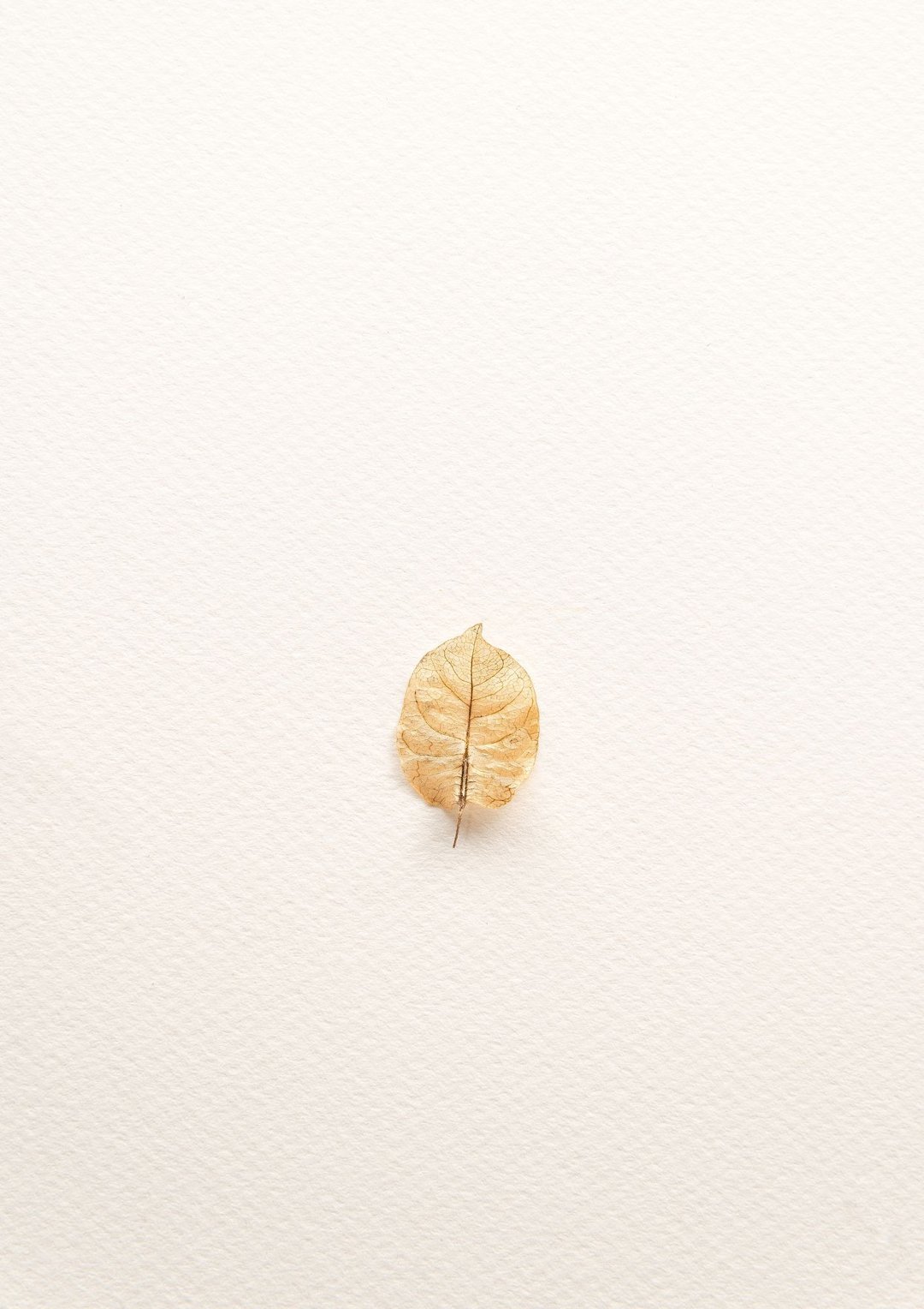 如果只能留下三款甜点 我为什么选它们 - 在线课程 - 线上课程/教学影片 - 其他材质 