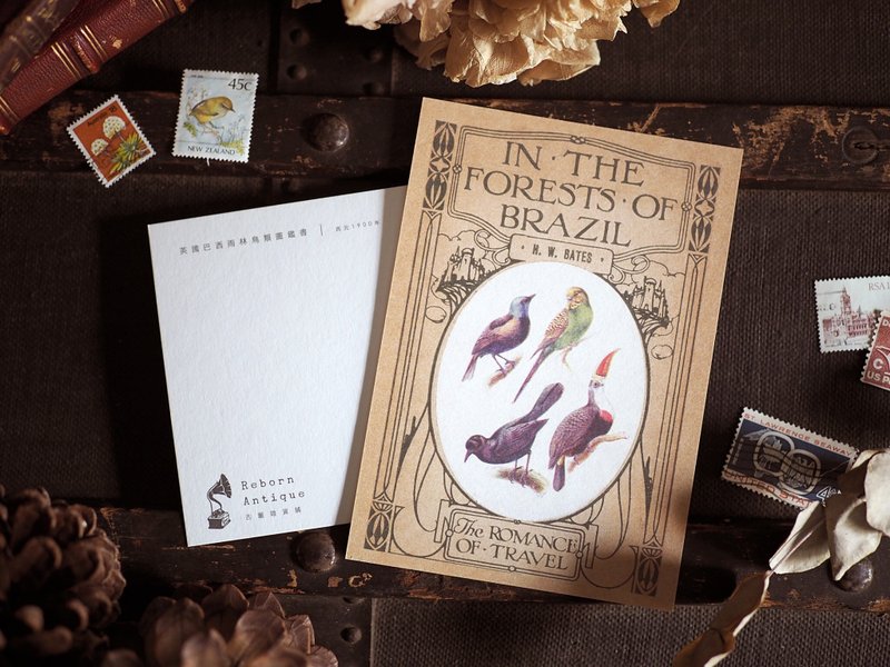 古董插画家系列 复刻版明信片 J款 1900年英国巴西雨林鸟类图鉴书 - 卡片/明信片 - 纸 