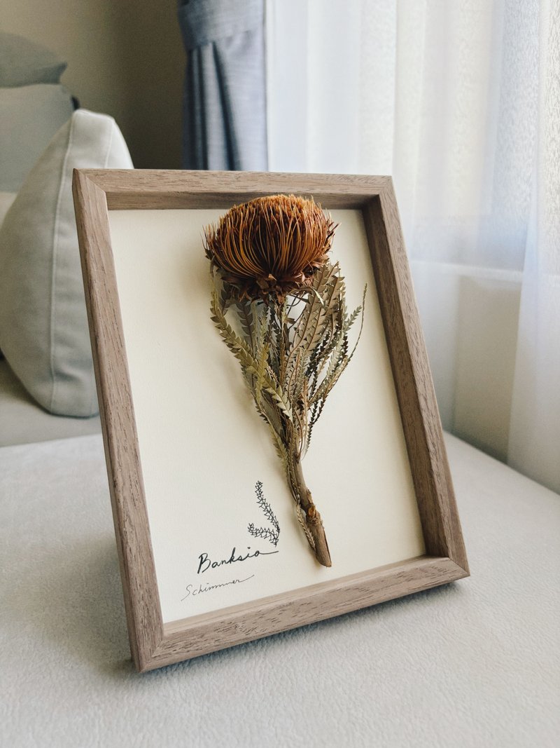 北欧自然系生活 植物标本画框∣山茂坚.山龙眼花 - 摆饰 - 植物．花 