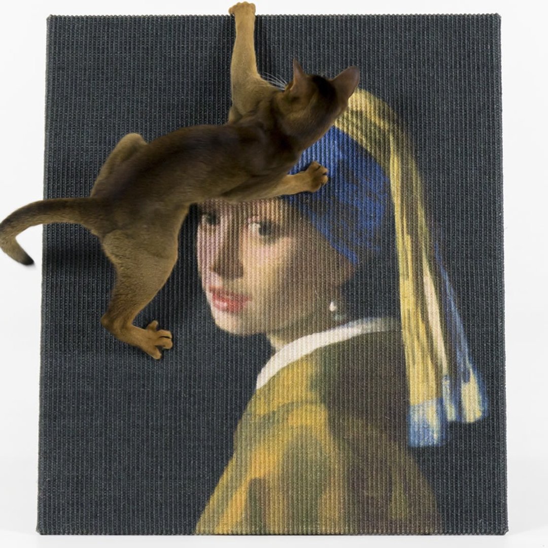 戴珍珠耳环的少女 Girl with a pearl earring艺术名画猫抓板 - 抓板/跳台 - 棉 卡其色