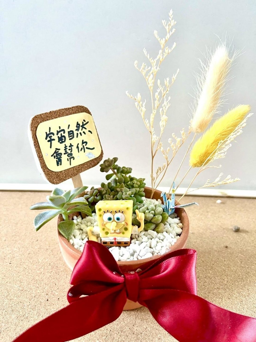 海绵宝宝 台中 多肉盆栽 生日送礼 多肉植物 仙人掌 日式枯山水 - 植栽/盆栽 - 植物．花 绿色