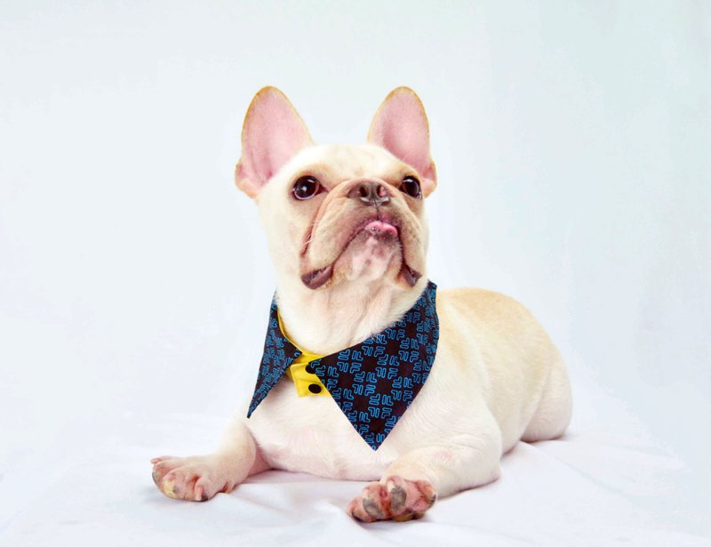 宠物双面衬衫领- 蓝色BY (XS/S/M/L) - 衣/帽 - 棉．麻 蓝色