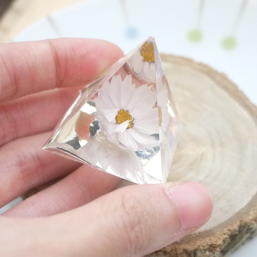 未完待续 |  干燥花 水晶 纸镇 婚礼小物 礼物 送礼 婚礼布置 伴娘礼 居家摆饰 摄影 道具 办公室 疗愈小物 现货 - 摆饰 - 植物．花 