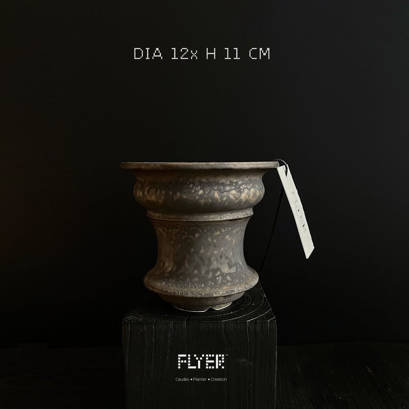 FLYER 块根多肉植物陶盆器 龙舌兰象牙宫象足漆树盆器 - 花瓶/陶器 - 陶 