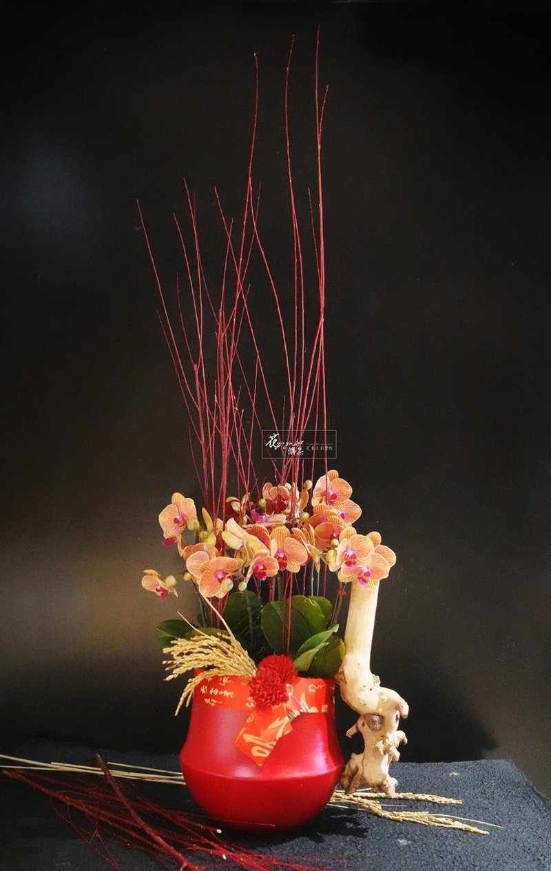 ||红喜庆|| - 植栽/盆栽 - 植物．花 