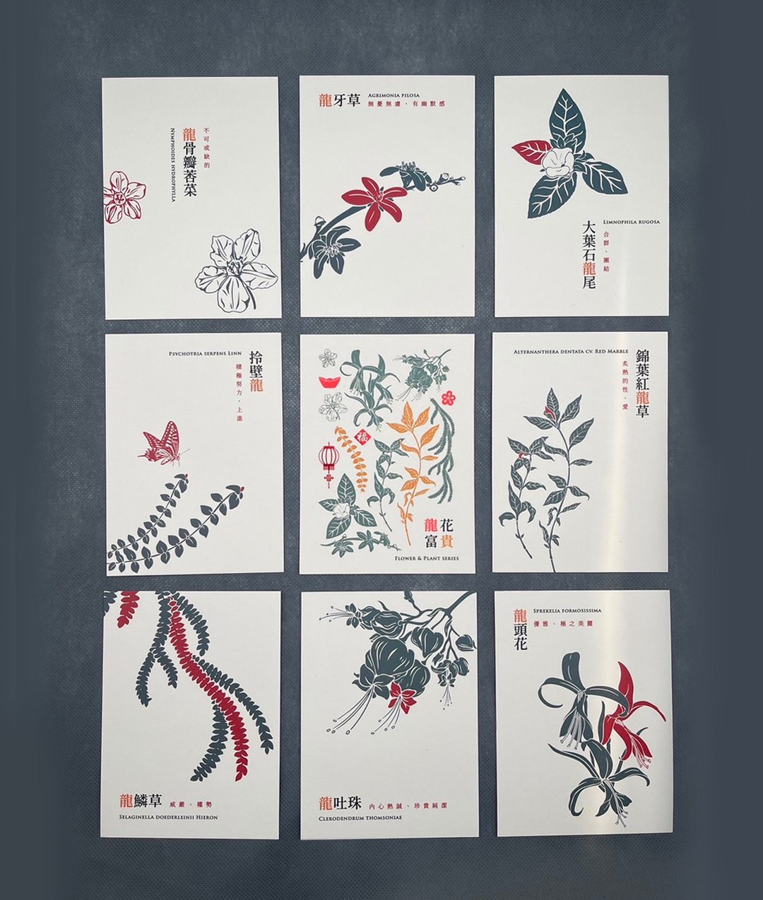 龙花富贵 - 年节贺卡 明信片套组 - 卡片/明信片 - 纸 多色