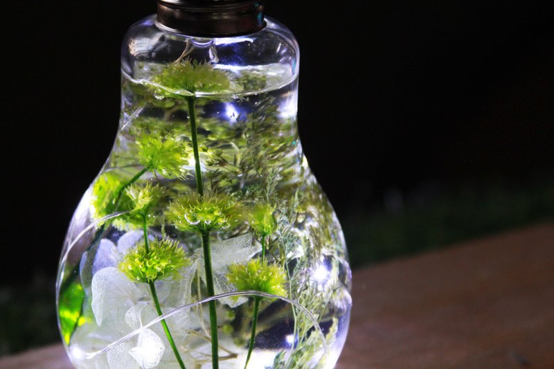 绿色草原 疗愈绿 花火 全台唯一 植物性液态灯 平静 定制礼物 小夜灯 礼物 情人节 液态灯 USB触控开关 - 灯具/灯饰 - 玻璃 绿色