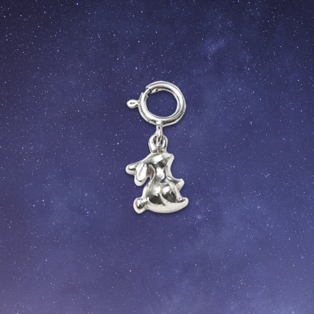 兔子吊坠吊饰 #minimcharm #minimsignature C106 - 其他 - 纯银 